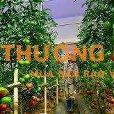 XKLD Đài Loan đơn hàng nông nghiệp cần 2 nam