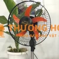 Bán combo 5 quạt cây