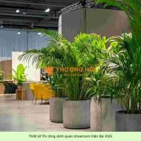 Thiết Kế Thi Công Cảnh Quan Showroom – Nâng Tầm Thương Hiệu và Trải Nghiệm Sản Phẩm
