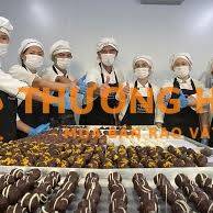 Tuyển Công Nhân Xưởng Sản Xuất Socola Đãi Ngộ Tốt