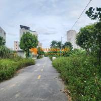 Mua ngay lô góc siêu phẩm khu 1.77 ha đất dịch vụ Vân Canh sổ đỏ