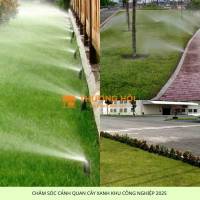 DỊCH VỤ BẢO DƯỠNG CẢNH QUAN KCN BIÊN HÒA ĐỒNG NAI: GIẢI PHÁP TIẾT KIỆM - UY TÍN 2025