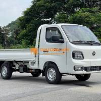 Foton T25 nhập khẩu 990kg - 1.4 tấn