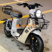 Xe type3 60V30A sạc nhanh