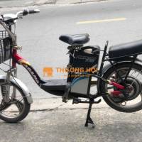 Bán xe đạp điện ASAMA chính hãng màu đen 18 in