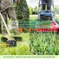 DỊCH VỤ CHĂM SÓC CẢNH QUAN KCN LỘC AN BÌNH SƠN ĐỒNG NAI TRỌN GÓI - GIÁ ƯU ĐÃI