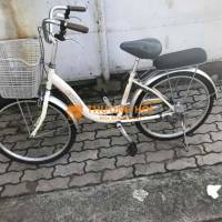 xe đạp nữ ASAMA