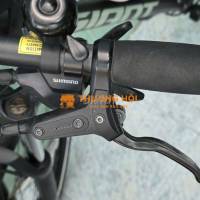 MTB , road cần bán