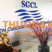 Cần tuyển 1 kế toán tổng hợp làm việc tại Bình Phú , Quận 6 , Tp. Hcm