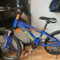 Xe đạp trẻ em Wilderness Xanh dương