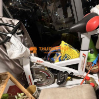 Xe đạp trong nhà giá rẻ