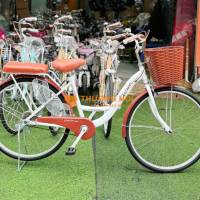 XE ĐẠP MINI NỮ DANZO 24–26 INCH MỚI – CHÍNH HÃNG