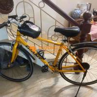 Giant Escape vàng hàng Nhật