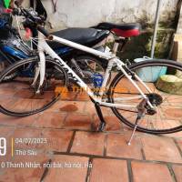 Giant nhật touring size chuyên châu Á