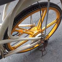 Xe đạp điện bãi