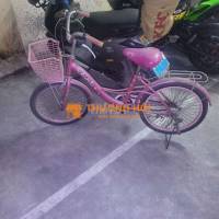 Hanoi, bán xe Avibus hồng cho trẻ cấp 1