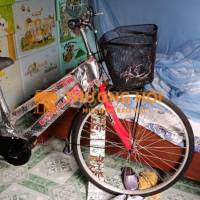 Xe đạp Thống Nhất màu Bạc, Đỏ, Đen mới