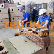 TUYỂN 20 NỮ THỜI VỤ SẢN XUẤT LOA