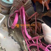 xe đạp hồng