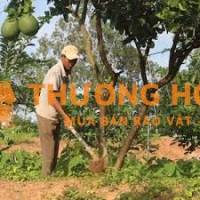 Tuyển Người Làm Trông Coi Trang Trại