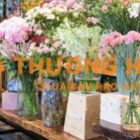 BD Florist tuyển dụng nhiều vị trí