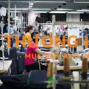 Tuyển Nam Nữ Thời Vụ