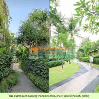 Bảo dưỡng cảnh quan nhà hàng khách sạn biệt thự Quận 2,TPHCM