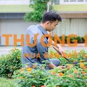 Tuyển nhân viên chăm sóc cây xanh