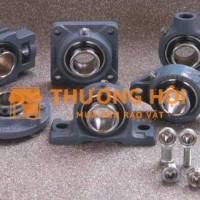 Gối bi Toàn Pháte – Vận hành trơn tru, nâng cao tuổi thọ máy móc