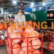 TUYỂN NHÂN VIÊN QC/QA VÀ CÔNG NHÂN VẼ BÓNG RỔ