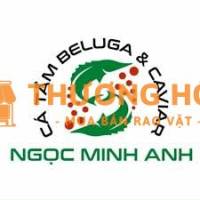 TUYỂN DỤNG NGƯỜI GIAO HÀNG