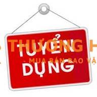 Cty TNHH TM và ĐTPT Trung Hải Hà Nội, Tuyển 2 lái xe tải hạng B2, C