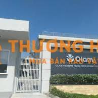 02 TỔ TRƯỞNG SẢN XUẤT TẠI GIA LAI