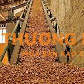 NHÂN VIÊN ĐỐT LÒ SẤY