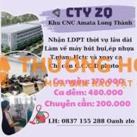 CÔNG TY ZQ TUYỂN 100 NAM NỮ LĐPT THỜI VỤ