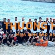 Tuyển Dụng CTY Trust VN