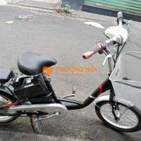 Xe đạp điện màu Đen