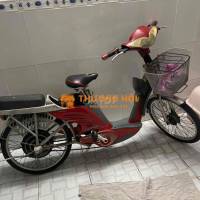 Xe đạp điện màu Đỏ, Xám