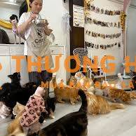 Tuyển NV quán CF mèo