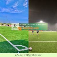 Dịch vụ chăm sóc thảm cỏ sân bóng tại TP.HCM, Đồng Nai