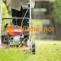 Bảo dưỡng cảnh quan KCN Nhơn Trạch 1 Đồng Nai uy tín, chuyên nghiệp