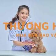 Tuyển dụng nhân viên chăm sóc thú cưng