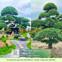 Thi Công Cảnh Quan Sân Vườn Biệt Thự Trọn Gói – Liên Hệ Ngay Để Nhận Báo Giá