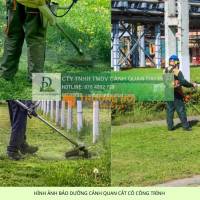 Dịch vụ cắt cỏ & vệ sinh thảm cỏ khu công nghệ cao TPHCM