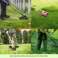 Báo giá cắt cỏ, cắt tỉa, chăm sóc cây xanh Đồng Nai mới nhất 2026