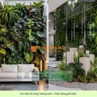 Dịch Vụ Thiết Kế & Thi Công Tường Xanh – Vườn Đứng Chuyên Nghiệp