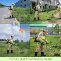Cắt Cỏ Vệ Sinh Cảnh Quan Đồng Nai Chuyên Nghiệp