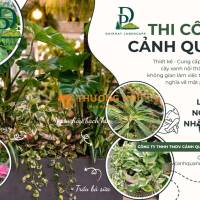 Thiết kế Thi công cây xanh nội thất trang trí văn phòng, quán cafe
