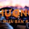 Tuyển lái xe cho chủ tịch công ty chuyên về nghệ thuật