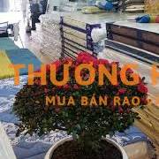 TUYỂN NHÂN VIÊN BÁN CHĂN GA GỐI NỆM KÉT SẮT